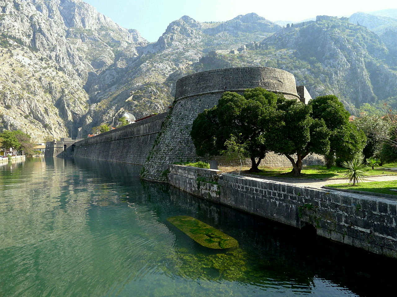 Kotor